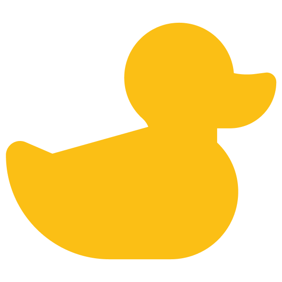 Duck hatched
